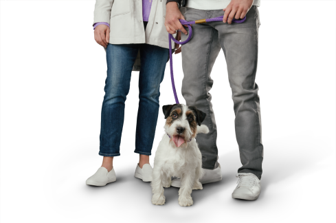 Picture of a couple holding a dog leash with white overlay text that says "your next steps".